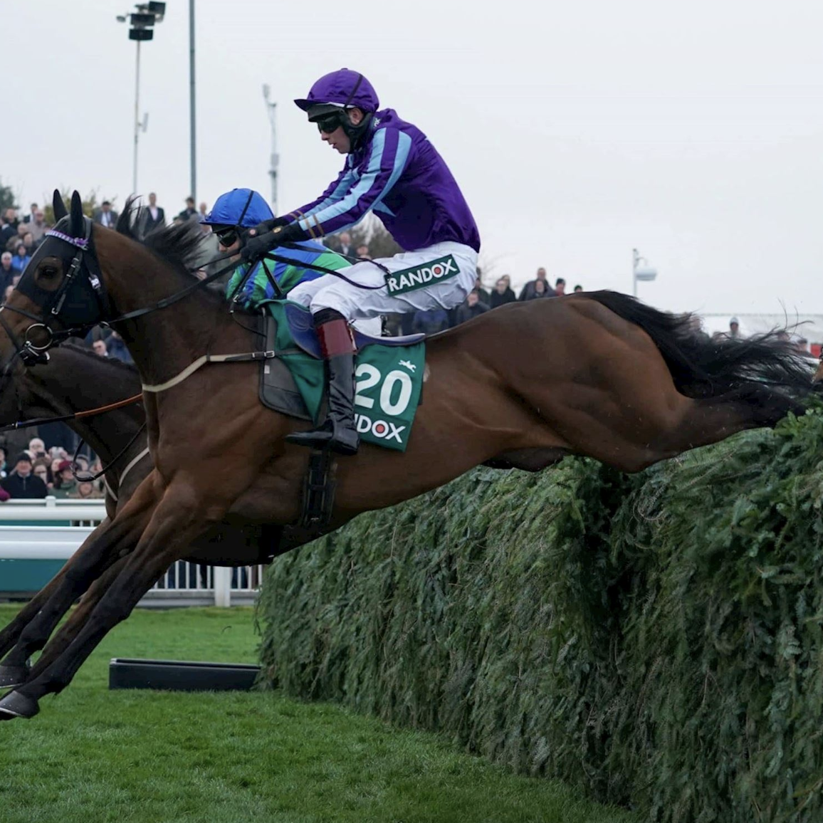 Grand National Fences